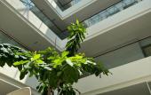 Туры в отель The Gallivant Hotel Туры в отель The Gallivant Hotel