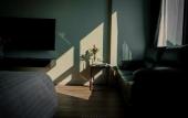 Туры в отель Play Poshtel & Cafe (SHA Certified) Туры в отель Play Poshtel & Cafe (SHA Certified)