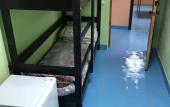 Туры в отель Vezhlivyij Los' Na Buninskoj Alee Hostel Туры в отель Vezhlivyij Los' Na Buninskoj Alee Hostel