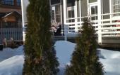 Туры в отель Uyutnyij Tihvin Guest House Туры в отель Uyutnyij Tihvin Guest House