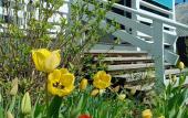 Туры в отель Uyutnyij Tihvin Guest House Туры в отель Uyutnyij Tihvin Guest House