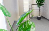 Туры в отель AstorySoul Hotel Туры в отель AstorySoul Hotel