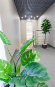 Туры в отель AstorySoul Hotel Туры в отель AstorySoul Hotel