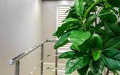 Туры в отель AstorySoul Hotel Туры в отель AstorySoul Hotel