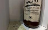 Туры в отель Milana Guest House Туры в отель Milana Guest House