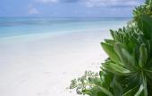 Туры в отель One the Island Guest House Туры в отель One the Island Guest House