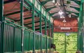 Туры в отель GREEN CLUB Family hotel Туры в отель GREEN CLUB Family hotel