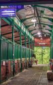 Туры в отель GREEN CLUB Family hotel Туры в отель GREEN CLUB Family hotel