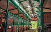 Туры в отель GREEN CLUB Family hotel Туры в отель GREEN CLUB Family hotel