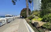 Туры в отель Apartments Panorama Park Alpha Apartments Туры в отель Apartments Panorama Park Alpha Apartments