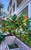 Туры в отель Meri Mini-Hotel Туры в отель Meri Mini-Hotel