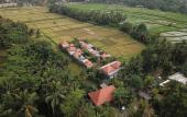 Туры в отель Asri Sari Resort Ubud Туры в отель Asri Sari Resort Ubud
