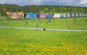 Туры в отель Art camp Dikaya Myata hotel Туры в отель Art camp Dikaya Myata hotel