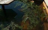 Туры в отель Pav.love Village Туры в отель Pav.love Village