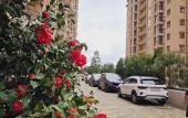 Туры в отель Sochihome Novaya Zarya Apartments Туры в отель Sochihome Novaya Zarya Apartments
