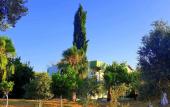 Туры в отель Patara Caretta Hotel Туры в отель Patara Caretta Hotel