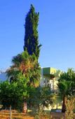 Туры в отель Patara Caretta Hotel Туры в отель Patara Caretta Hotel