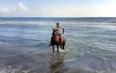 Туры в отель Patara Caretta Hotel Туры в отель Patara Caretta Hotel
