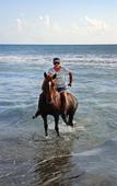 Туры в отель Patara Caretta Hotel Туры в отель Patara Caretta Hotel