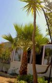 Туры в отель Patara Caretta Hotel Туры в отель Patara Caretta Hotel