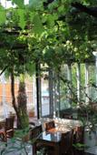 Туры в отель Patara Caretta Hotel Туры в отель Patara Caretta Hotel