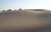 Туры в отель Patara Caretta Hotel Туры в отель Patara Caretta Hotel