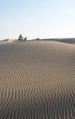 Туры в отель Patara Caretta Hotel Туры в отель Patara Caretta Hotel