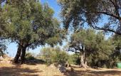 Туры в отель Patara Caretta Hotel Туры в отель Patara Caretta Hotel
