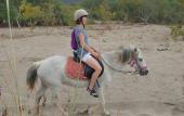 Туры в отель Patara Caretta Hotel Туры в отель Patara Caretta Hotel