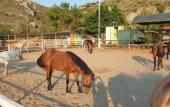 Туры в отель Patara Caretta Hotel Туры в отель Patara Caretta Hotel