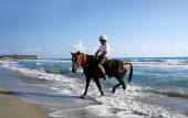 Туры в отель Patara Caretta Hotel Туры в отель Patara Caretta Hotel