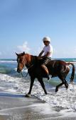 Туры в отель Patara Caretta Hotel Туры в отель Patara Caretta Hotel