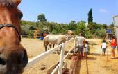 Туры в отель Patara Caretta Hotel Туры в отель Patara Caretta Hotel