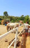 Туры в отель Patara Caretta Hotel Туры в отель Patara Caretta Hotel