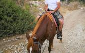 Туры в отель Patara Caretta Hotel Туры в отель Patara Caretta Hotel