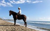 Туры в отель Patara Caretta Hotel Туры в отель Patara Caretta Hotel