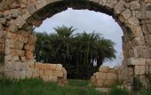 Туры в отель Patara Caretta Hotel Туры в отель Patara Caretta Hotel