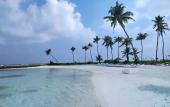 Туры в отель Courtyard Guest house Туры в отель Courtyard Guest house