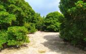 Туры в отель Courtyard Guest house Туры в отель Courtyard Guest house