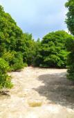 Туры в отель Courtyard Guest house Туры в отель Courtyard Guest house