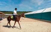 Туры в отель Dachas Cove Hotel Туры в отель Dachas Cove Hotel