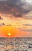 Туры в отель Swan Beach Inn Туры в отель Swan Beach Inn