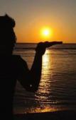 Туры в отель Swan Beach Inn Туры в отель Swan Beach Inn