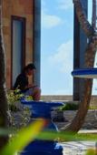 Туры в отель Swan Beach Inn Туры в отель Swan Beach Inn
