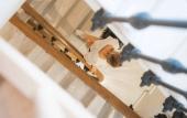 Туры в отель Paleo Suites Туры в отель Paleo Suites