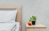 Туры в отель Bulgasari Apartments Туры в отель Bulgasari Apartments
