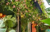 Туры в отель Snob Athens Туры в отель Snob Athens
