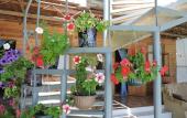 Туры в отель Guesthouse U Moti Туры в отель Guesthouse U Moti