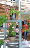 Туры в отель Guesthouse U Moti Туры в отель Guesthouse U Moti