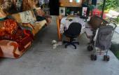 Туры в отель Bamboo Garden living quarters Туры в отель Bamboo Garden living quarters